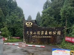 -武陵山森林公园