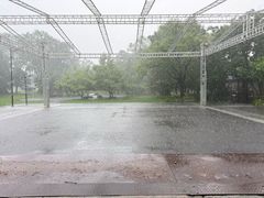 -北坞公园