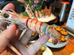 新西兰鳌虾-Mr·Fish鱼鲜生海鲜放题(银泰in99店)