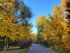 -中家鑫园温泉酒店鑫悦汤泉