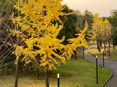 -中国浦东干部学院