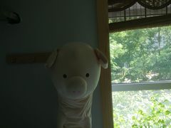 -孙三拨按摩(大纺店)