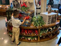 -Behring World of Animals(上海自然博物馆店)