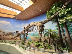 -延庆地质公园博物馆