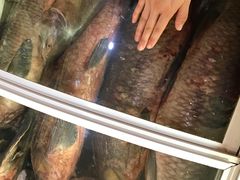 -大鹅岛灶台鱼·铁锅炖(水库路店)