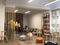 -柴迷FANS CLUB·柴犬狗咖·猫咖