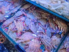 -渔民船说·北塘海鲜·天津菜·海肠捞饭(北塘古镇店)