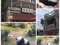 -香港海洋公园