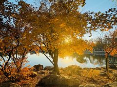 -长春市南湖公园