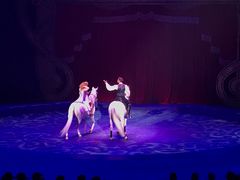 -珠海横琴长隆《卡卡虎奇遇记》