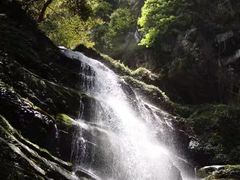 -碧峰峡风景区