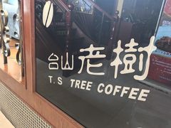 -OLD TREE老树咖啡·西餐厅(台山人工湖店)