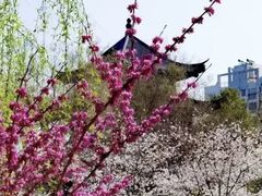 -堤角公园