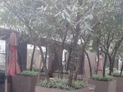 -风与炭BBQ户外火锅烧烤(成都群光君悦酒店)