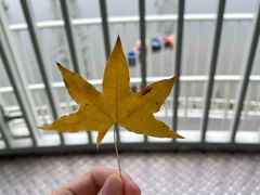 -成都欢乐谷