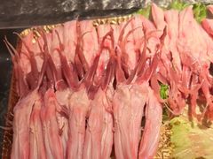 -牛New寿喜烧(金鹰世界店)