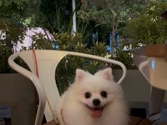 -MARU玛露音乐餐厅(大学路店)