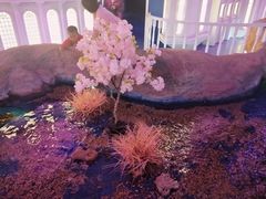 -秦皇岛新澳海底世界
