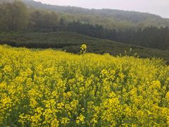 -南京金牛湖风景区