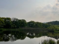 -西湖风景区-江洋畈生态公园
