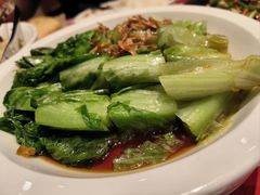 罗马生菜-西贝(枫蓝国际购物中心店)