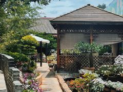-山菌美食苑(振兴路店)