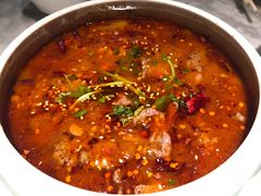 盐帮水煮牛肉-雀蓝川菜(奥体广场店)