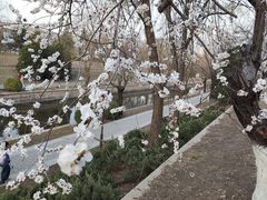 -元大都城垣遗址公园