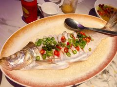 -曼格纳·曼芯馆(杨浦店)