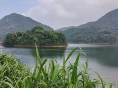 -广州市石门国家森林公园