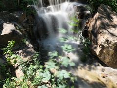 -北京西山国家森林公园