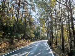 -潜山国家森林公园