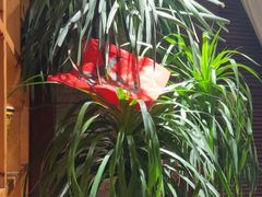 -陈熹公民族美食文化餐厅(中华广场店)