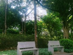 -东风公园