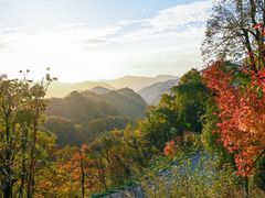 -光雾山旅游景区
