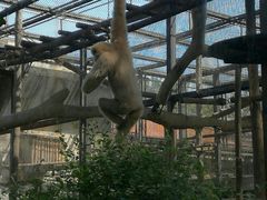 -石家庄市动物园