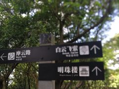 -云溪植物园