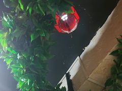 -人民公社铁锅炖·东北菜(卫国道店)