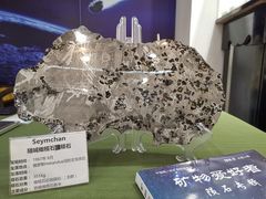 -志强陨石馆(双季花艺店)