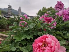 -灵山胜境