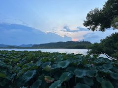 -湖畔居茶楼(湖滨店)