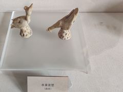 -北京动物园-畅观楼