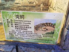 -上海大自然野生昆虫馆(东方明珠·爬宠昆虫探索中心)
