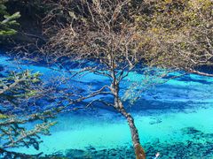 -西姆山居酒店(九寨沟沟口店)