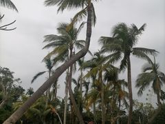 -白沙门生态公园
