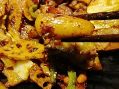 -食乐佳麻辣香锅(森林摩尔商业街区店)
