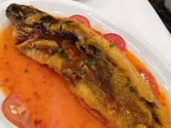 -和乐喜点(宝岗大道店)