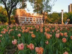 -长春公园(普阳街道)