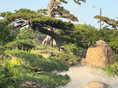 -罗红摄影艺术馆