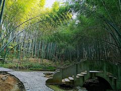 -石塘人家